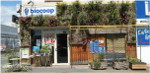 Le blé en herbe ext 150*150