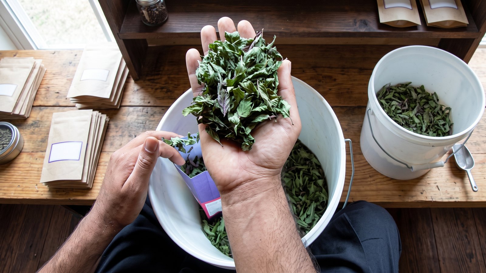 Contrôle qualité de la menthe avant ensachage