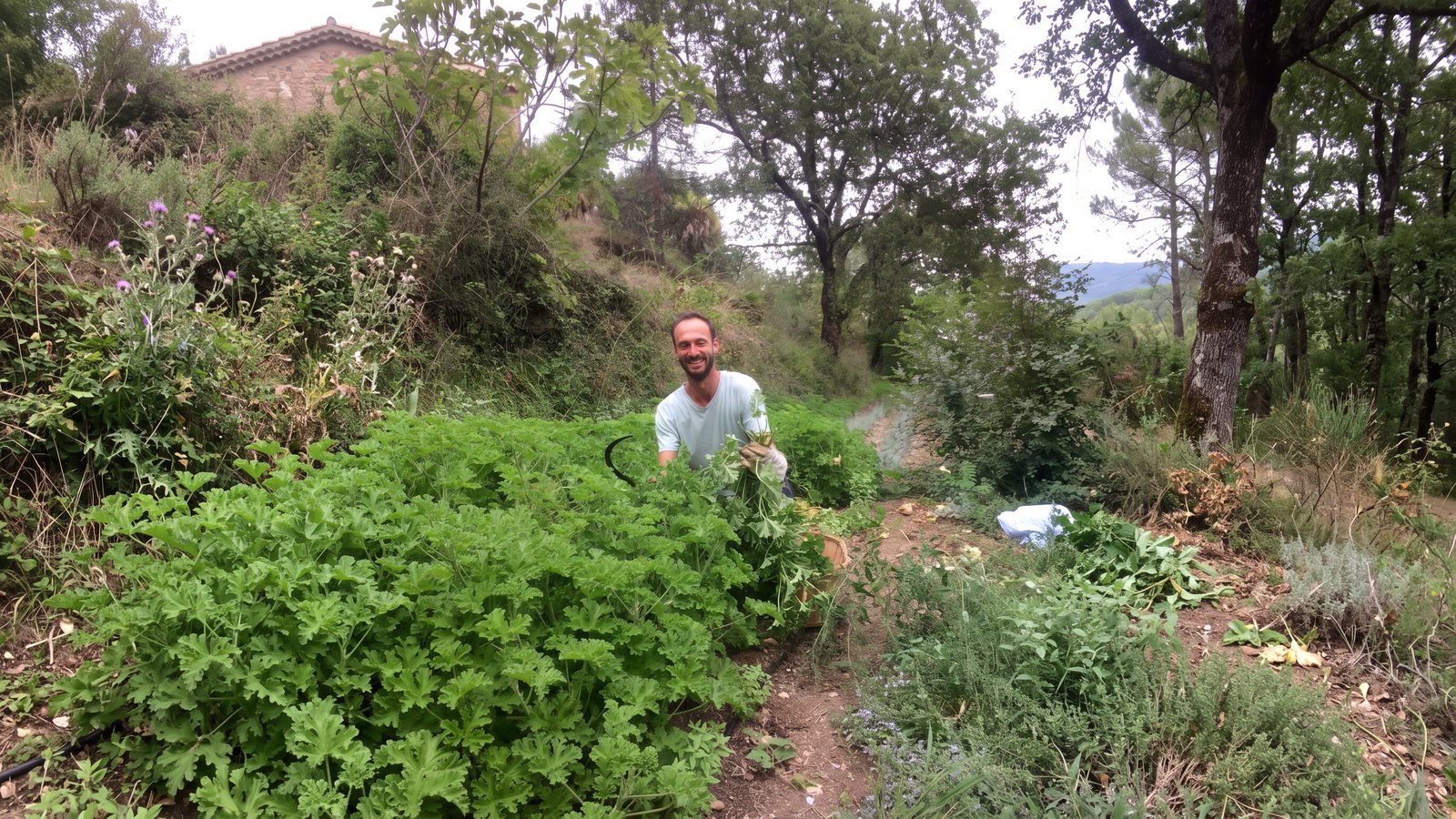 Renaud Socié dans ses cultures du piémont cévenol