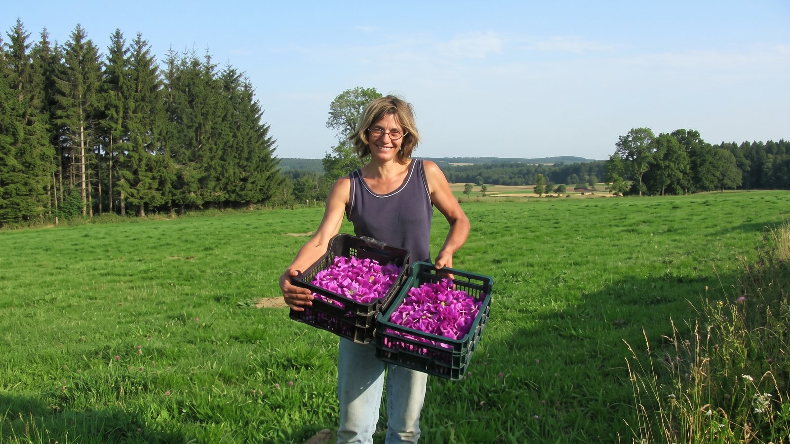 Véronique Gras et sa récolte de mauve à Cheyrac