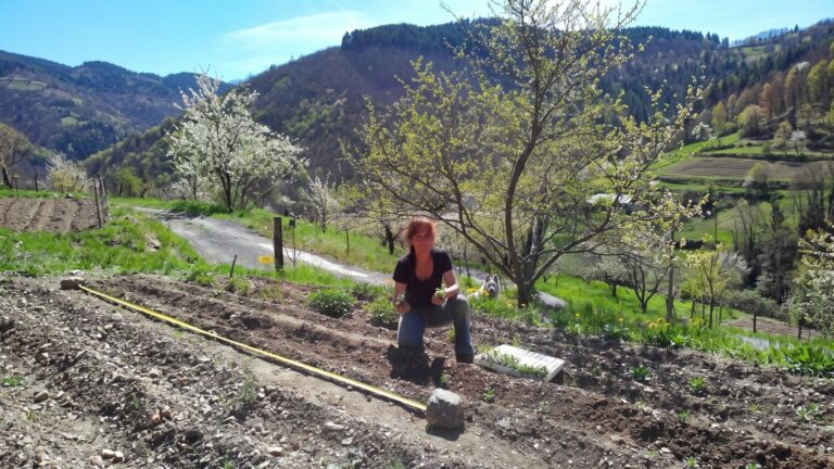 Véronique Mas au travail dans son champ à Mars, Cévennes gardoises