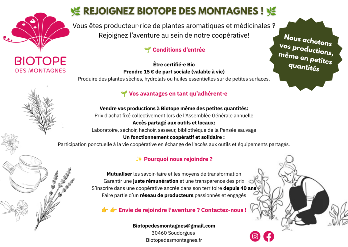 Infographie : rejoindre la coopérative Biotope des Montagnes — conditions d'entrée, avantages pour les producteur·ices de plantes aromatiques et médicinales